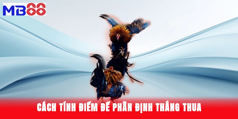 cách tính điểm để phân định thắng thua